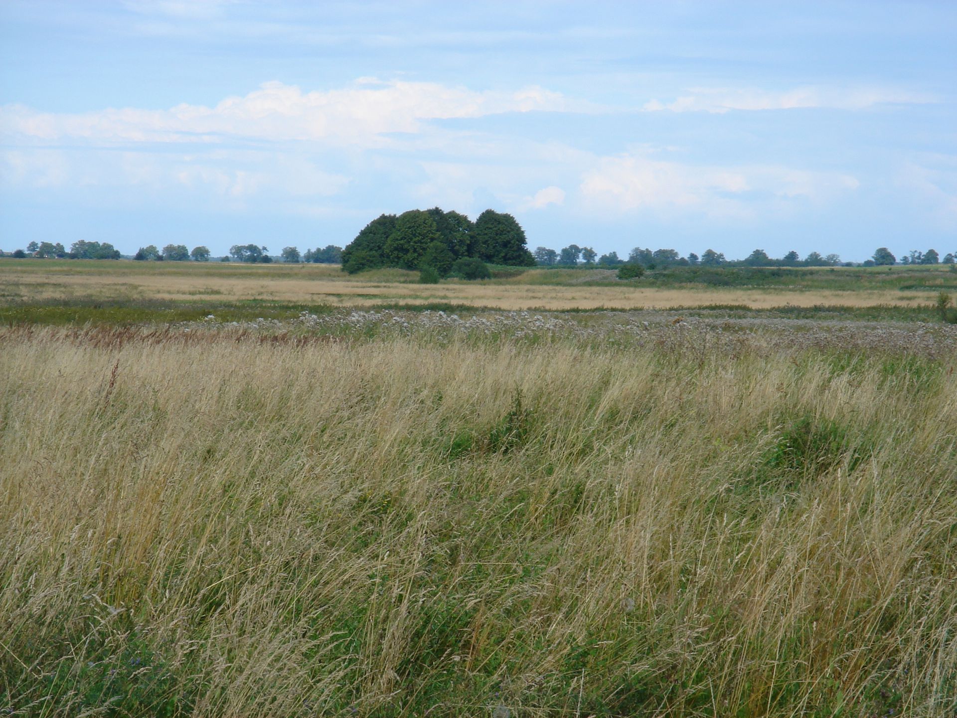 Groß Hermeninken