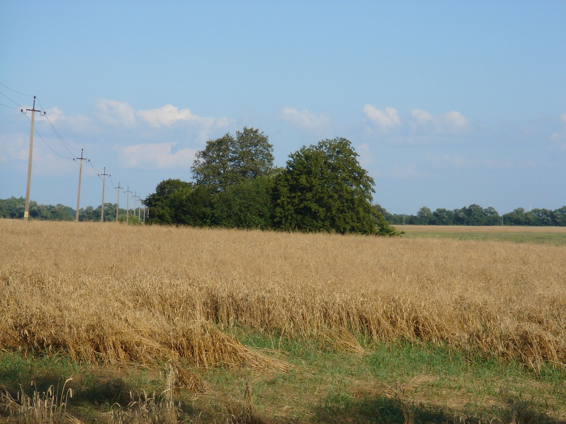 Klein Heiligenwalde