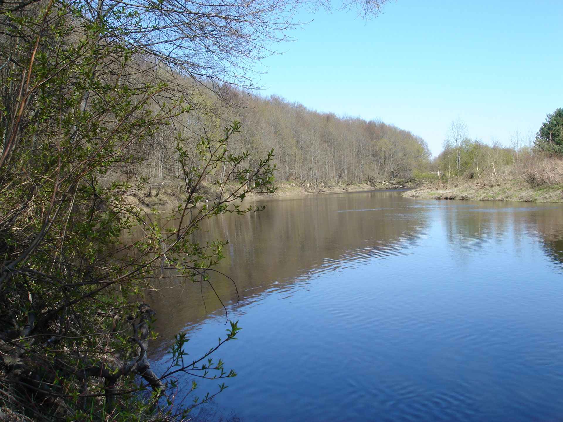 Am Ostfluss (Szeszuppe)